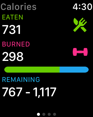 apple watch calorie tracker